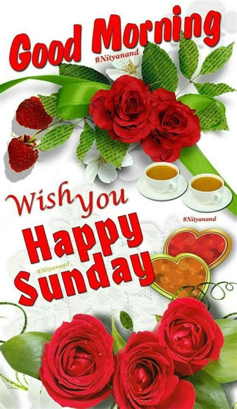 good morning pic sunday|good morning sunday messages images.